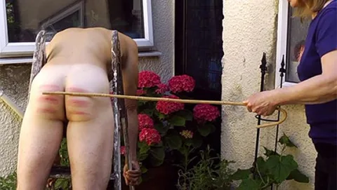 A Sharp Shock in the Garden still 4