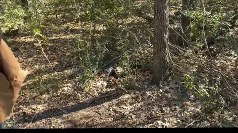 AL and KayKay switched in the woods still 3