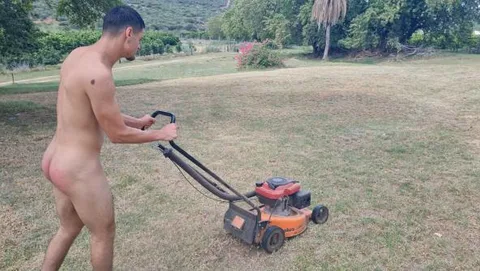 Taylor The Gardener