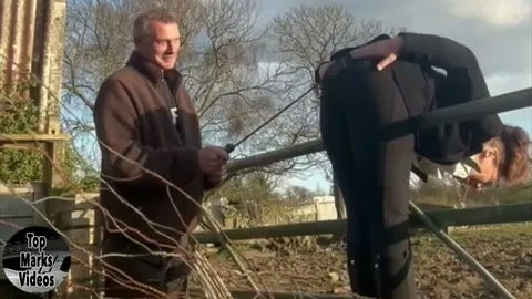 Whipped Over The Farm Gate still 3